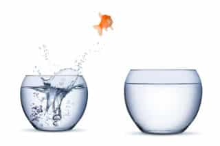 How to Obtain the Proper Therapist For You – Dr. Claudia 6, PhD