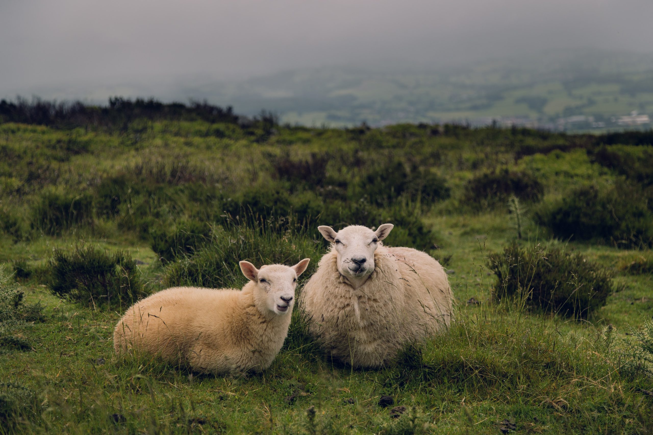 Your romantic relationship monthly bill of rights by Rebecca Matthews – Particular person & Partners Treatment | Sex Remedy