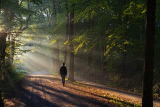 Contacting all the single gentlemen – Dr. Claudia 6, PhD